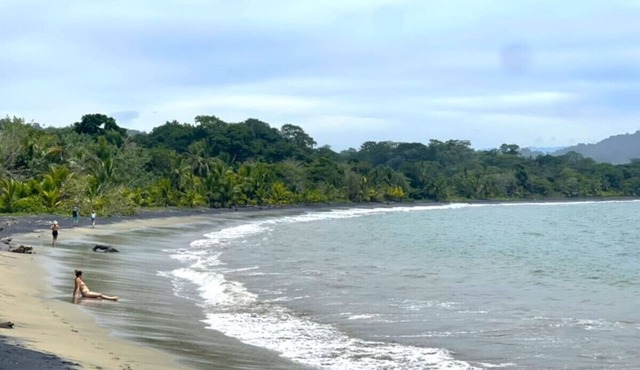 Beachfront | Pool Access | Walk Everywhere