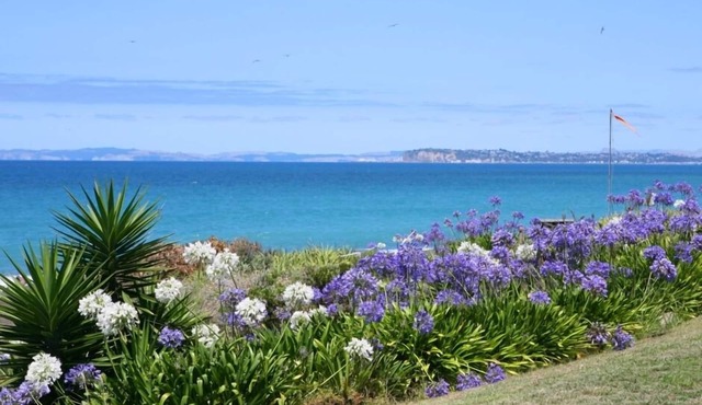Beachfront, rustic, sunny 3 bdrm house, with birdlife.