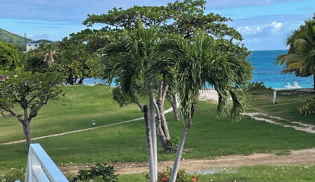 Beachfront Tropical Paradise-Step Out the Door to the Beach!