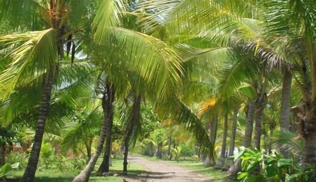 Beachfront with Pool/Great Family House. Start living the Pura Vida today!