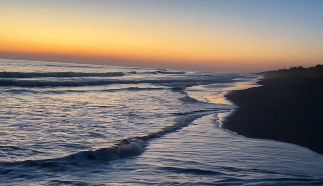 Beachfront with spectacular ocean access and views, with local wildlife.