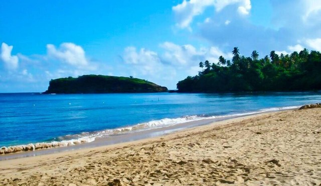Beachside at Cerro Gordo - Walk to the Ocean