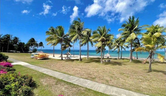 Beachside Bliss: View paradise from your balcony! 2 Bedroom/2 Baths/2 Balconies!