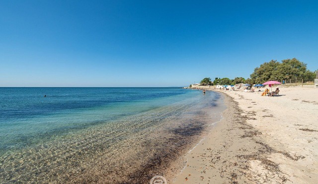 Beachside Casa Lucia 🏝️
