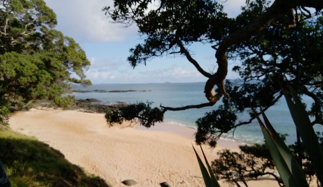 Beachside Hideaway - by the surf & sand of LIttle Cable Bay - pet friendly!