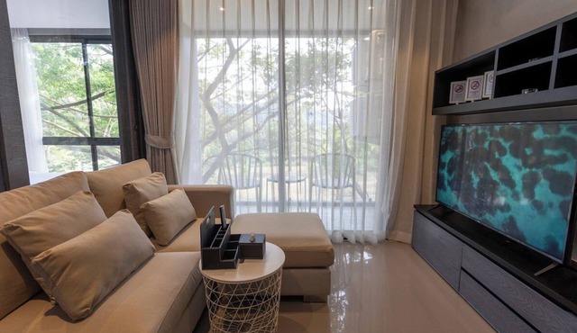 Beachside Zen – A Modern Island Sanctuary C60