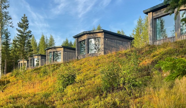 Bear Centre