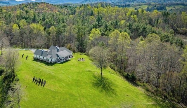 Bear Creek: Views|Spa|Trails|Fishing|Acres+