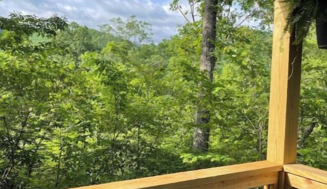 Bear Top Junior Small Cabin w EV Charger