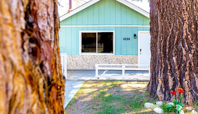 Bearadise ~ Relaxing & Romantic Getaway for Two