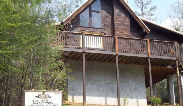 BEARFOOT - Romantic cabin perfect for two!