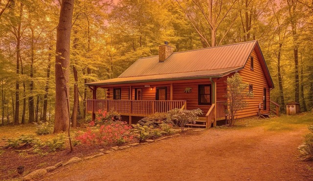 "Bearly Rustic" - 2 bdrm/2 bath - Off the grid, beautiful scenic
