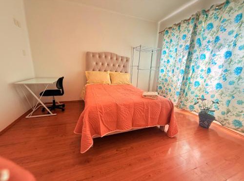 Bears house condesa-roma norte