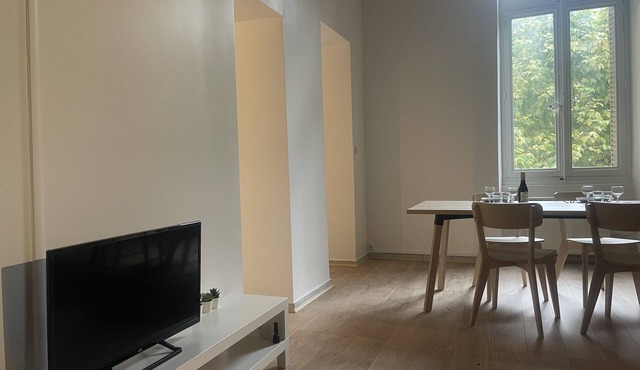Beau Duplex Perrache