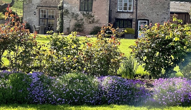 Beautiful 16th Century Elizabethan Manor House with far reaching coastal views.