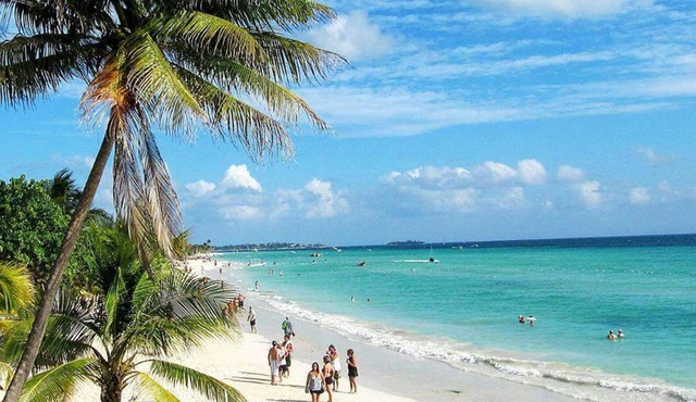 Beautiful 2-bed Apartment in Sunny Jamaica