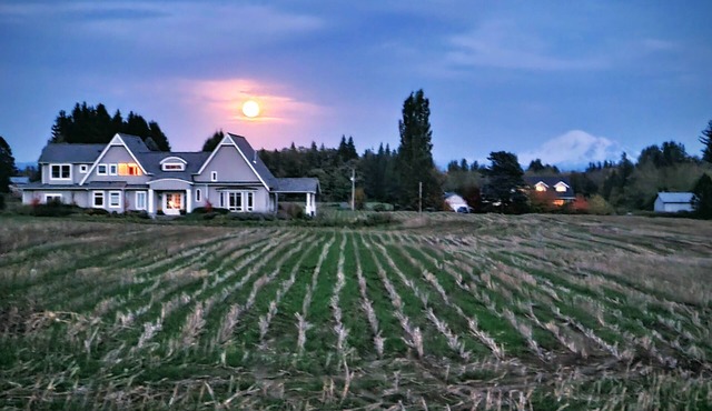 Beautiful and spacious family home with Mt. Baker views.