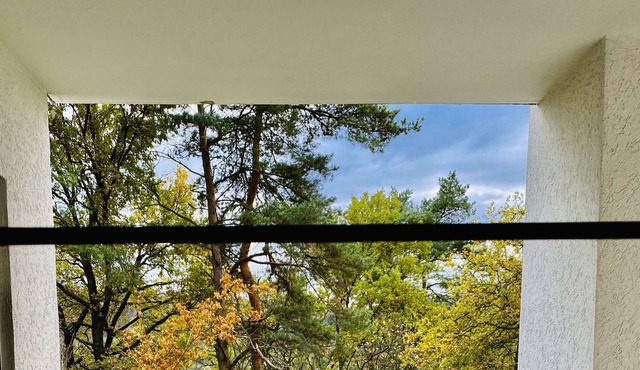 Beautiful apartment with forest view in Dillenburg