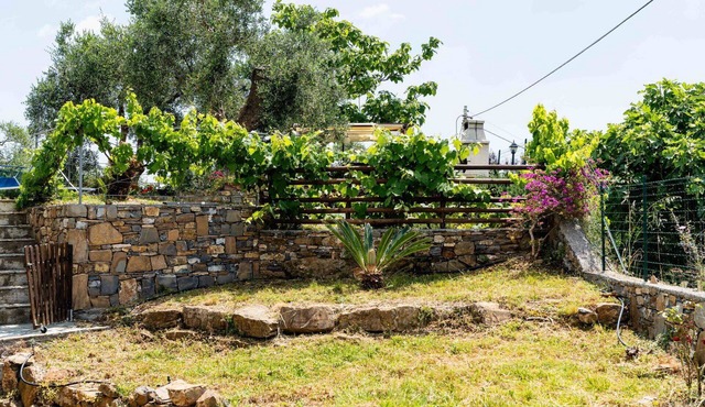 Beautiful apartment for 4 guests with WIFI, pool, A/C and pets allowed