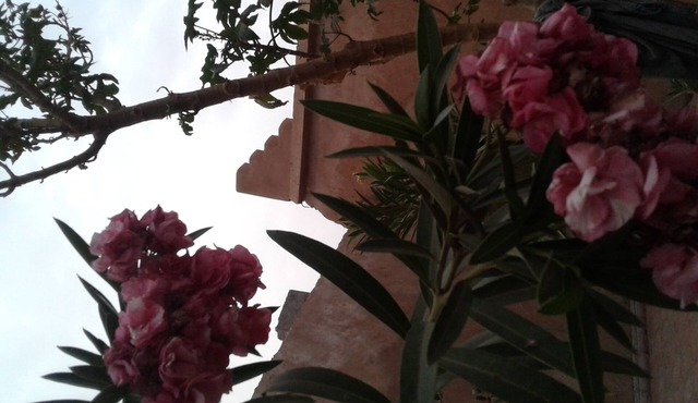 Beautiful authentic riad a mhamid elghizlan
