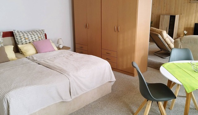 Beautiful bright 60 sqm apartment near Magdeburg city center and zoo, barrier-free
