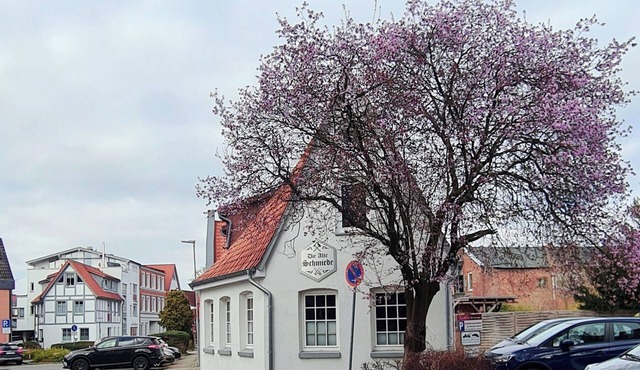 Beautiful central vacation apartment in the Alte Schmiede Winsen (Luhe)