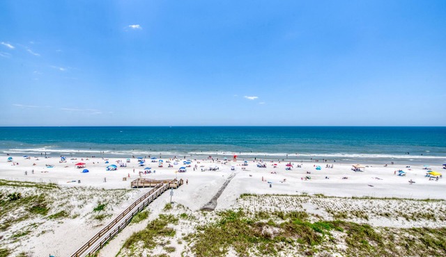 Beautiful condo overlooking Majestic Ocean !