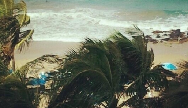 Beautiful Cozy Studio Located In Condado, Puerto Rico!