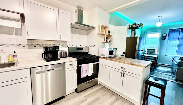 Beautiful Downtown Apartment