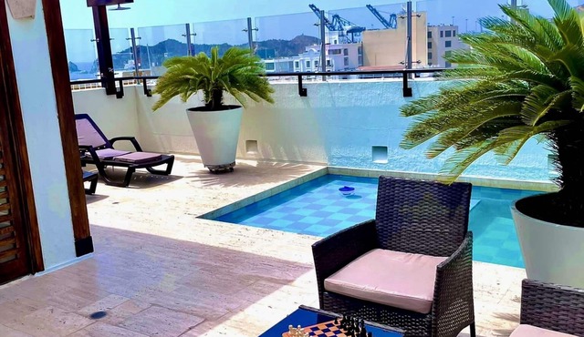 Beautiful Executive Penthouse