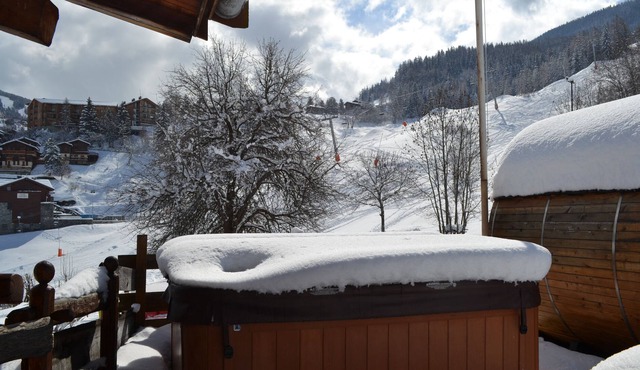 Beautiful chalet, Perfect for Groups, hot tub, sauna, ski-in/ski-out experience