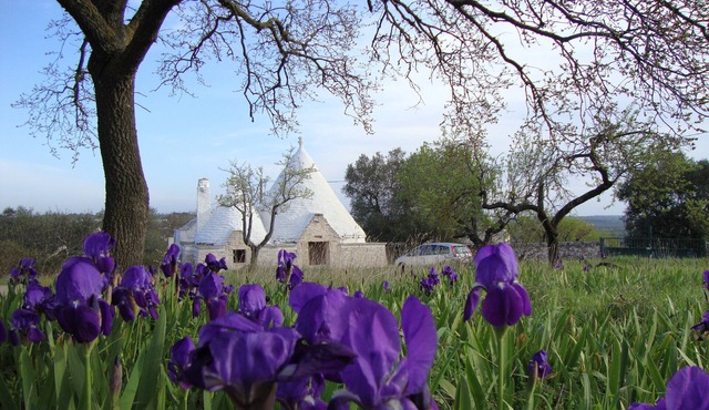 Beautiful hilltop Trulli w/POOL & A/C in almond & olive grove - TrulliVistas