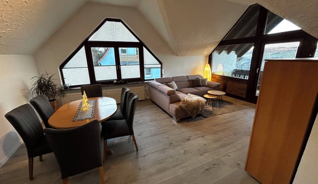 Beautiful, large apartment near Winterberg