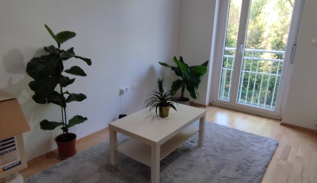 Beautiful Large Apartment in Leibnitz Center