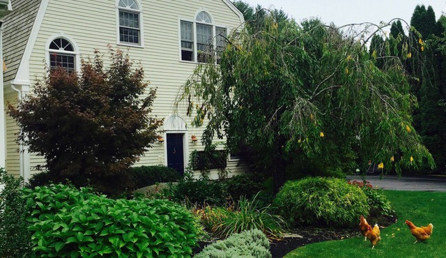 Beautiful light filled apartment -rarely available!