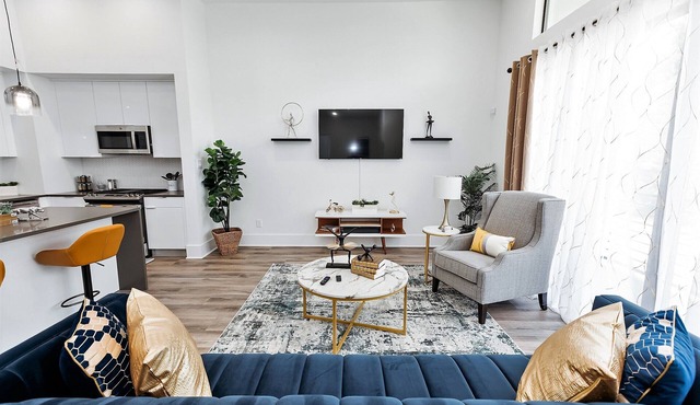 Beautiful Modern Luxury Home, in Downtown Houston