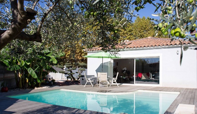 BEAUTIFUL MODERN VILLA WITH POOL AND EXOTIC GARDEN IN SOLLIES-PONT NOUVELLE HOTE