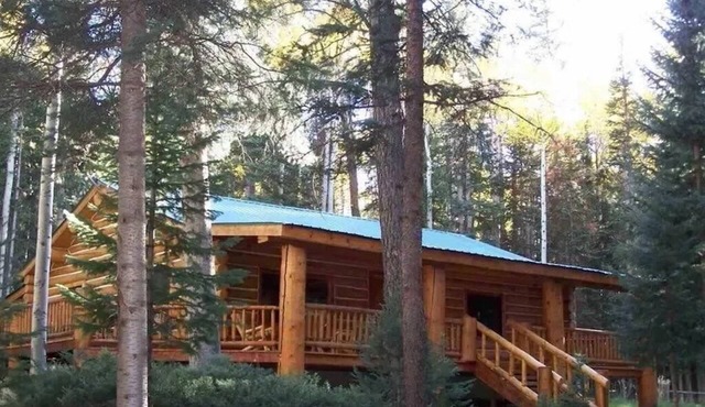 BEAUTIFUL MOUNTAIN LOG CABIN PETS ALLOWED