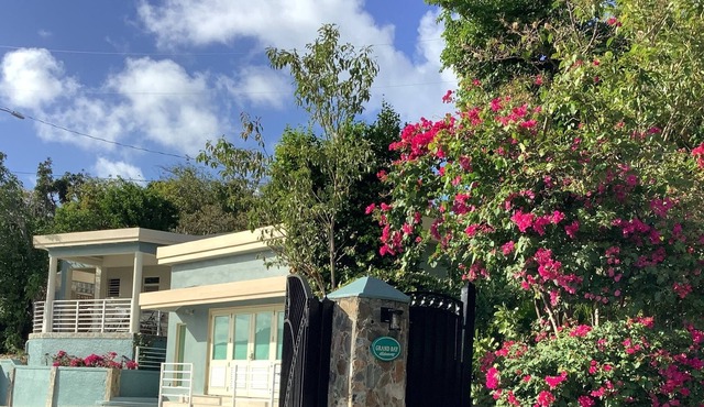 Beautiful New Construction Cottage overseeing Megans Bay.