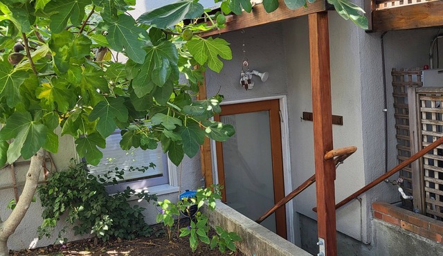 Beautiful North Berkeley private 1 bedroom flat