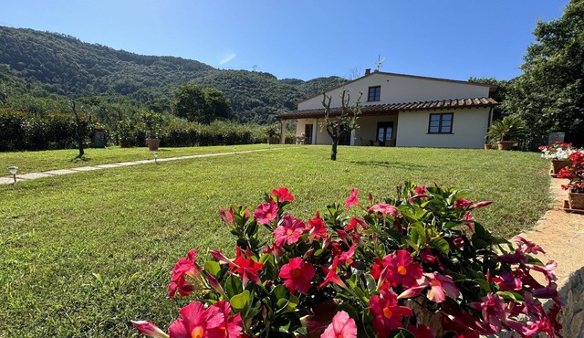 Beautiful private villa for 7 guests with A/C, WIFI, TV, veranda, pets allowed and panoramic view