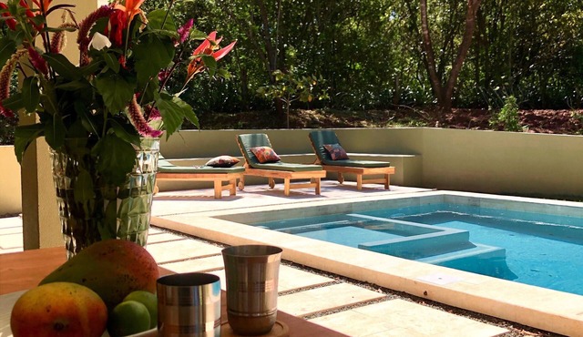 Beautiful PrivatePool & Gardens near top-tier restaurants, surfing & 5 beaches