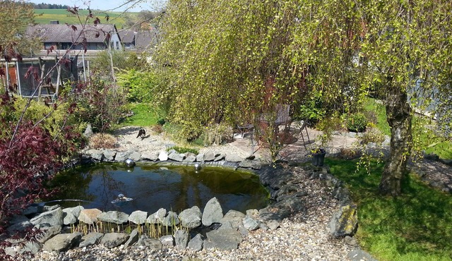 beautiful property with 2 cottages, sauna, forest edge, quiet location