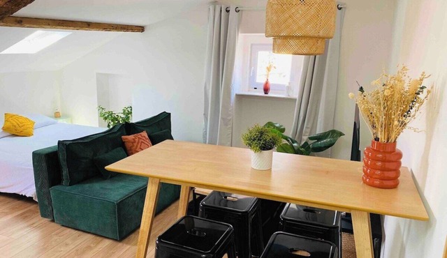 Beautiful refurbished cozy apartment