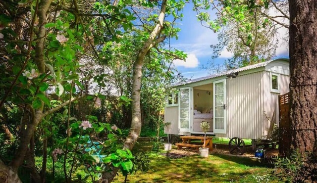 Beautiful Shepherds Hut B&B nr Stonehenge, Avebury, Salisbury, Bath - WiFi, TV