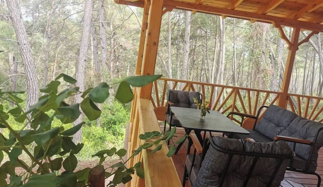 Beautiful silence charming Olympos Hypatia Villa
