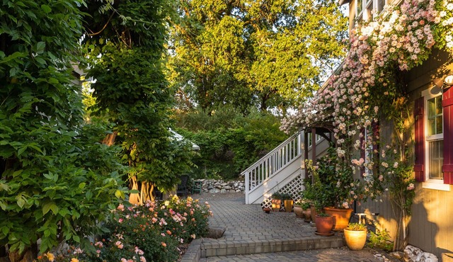 Beautiful Studio Getaway in the Heart of Wine Country