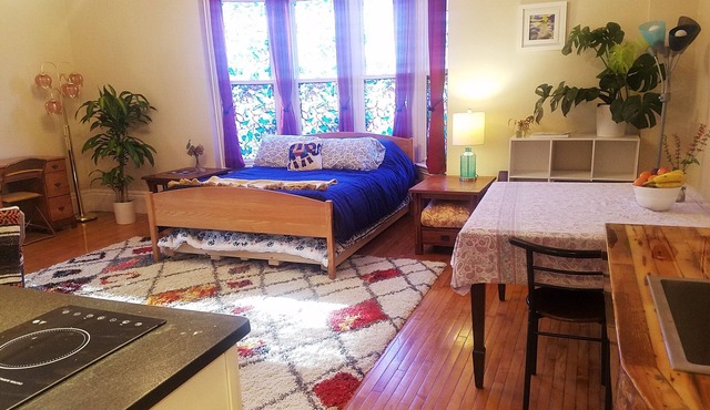 Beautiful studio in historic neighborhood of Boston. Super close to downtown!