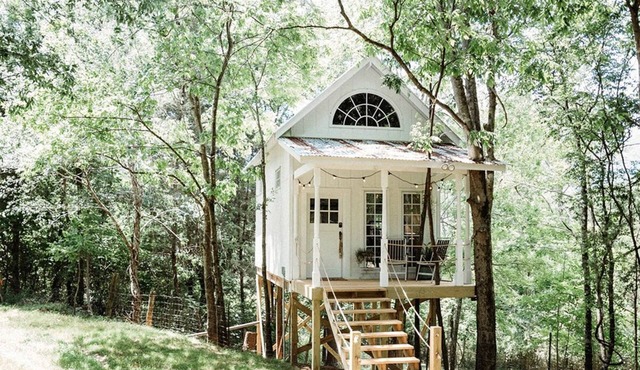Beautiful Tree House for a Romantic Getaway on a Farm near Chattanooga Valley, Georgia