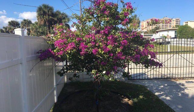 Beautiful vacation home - just 2-Minute Walk to World-Famous Daytona Beach